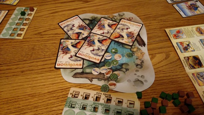 IMG_20160528_164403408